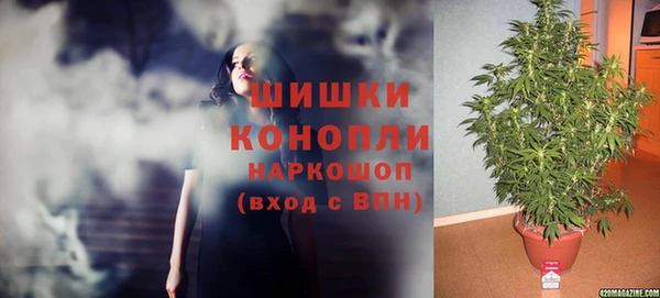 альфа пвп Гусев