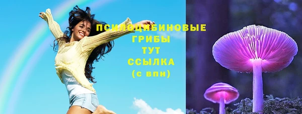 альфа пвп Гусев