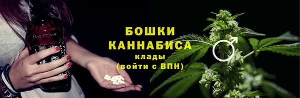 альфа пвп Гусев