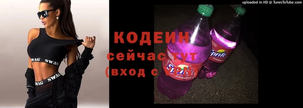 a pvp Гусь-Хрустальный