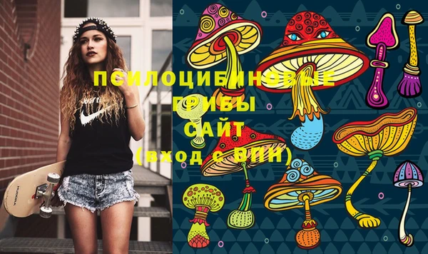 марки nbome Гусиноозёрск