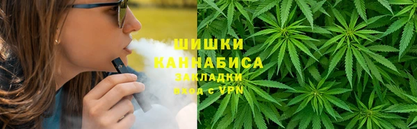 альфа пвп Гусев