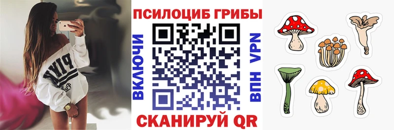 магазин продажи Долгопрудный Галлюциногенные грибы Magic Shrooms