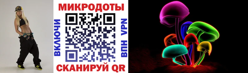 Псилоцибиновые грибы Psilocybe Долгопрудный