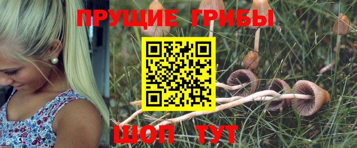 Псилоцибиновые грибы прущие грибы Долгопрудный